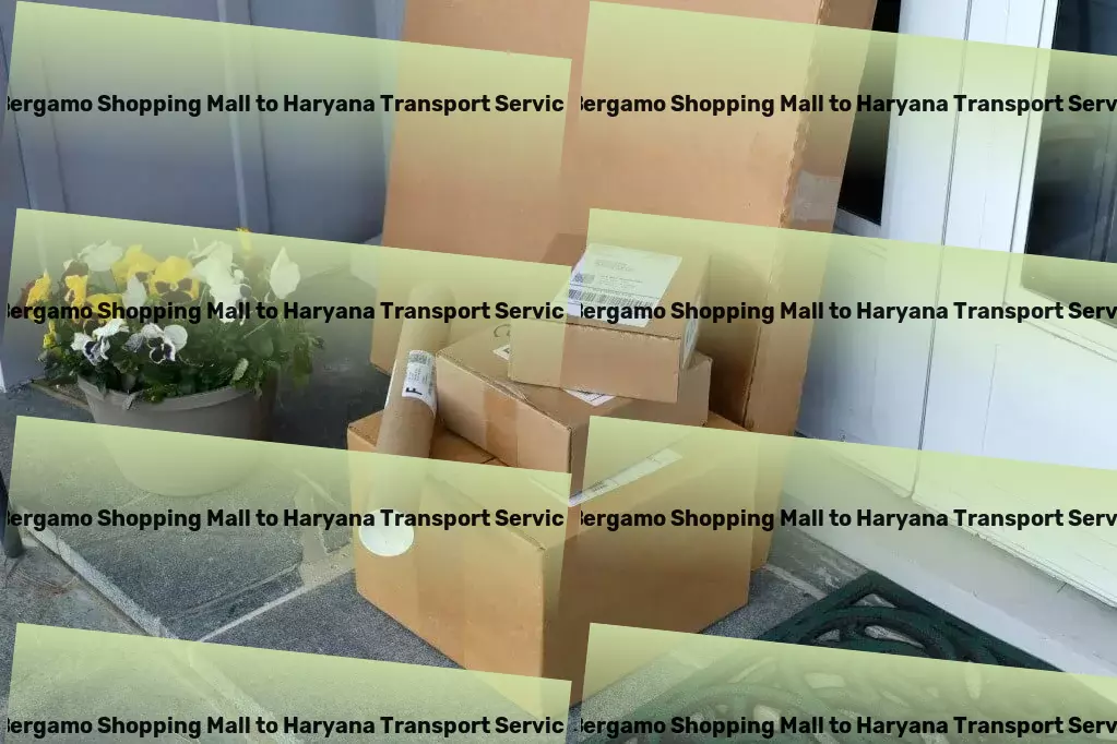 Bergamo Shopping Mall to Haryana Transport National road delivery