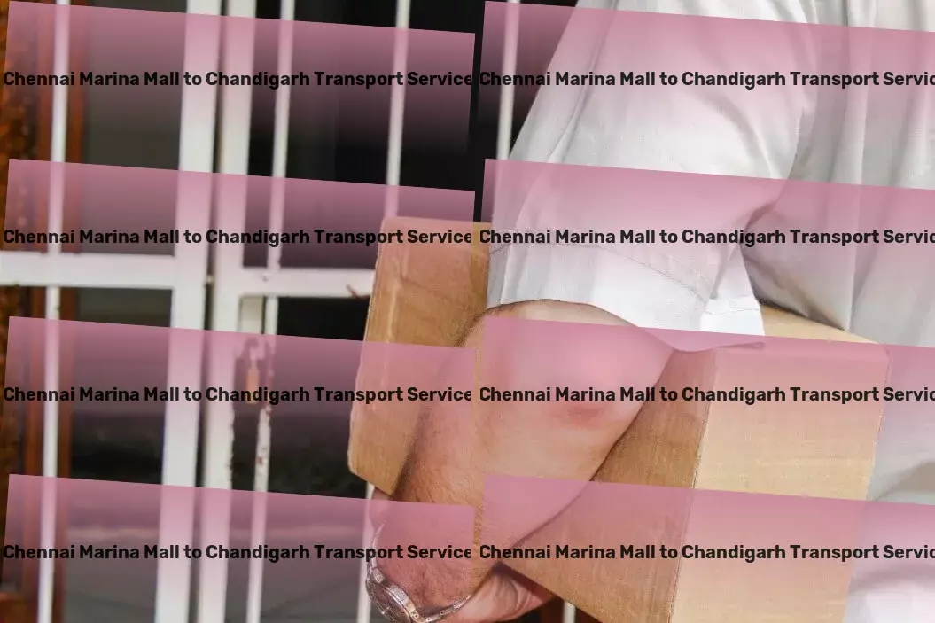 Chennai Marina Mall to Chandigarh Transport Professional packing services