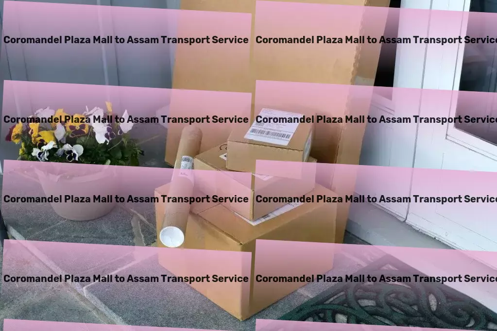 Coromandel Plaza Mall to Assam Transport Tailored strategies for impactful results and growth! - Multi-regional freight transport