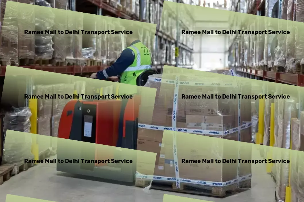 Ramee Mall to Delhi Transport Professional logistics operations